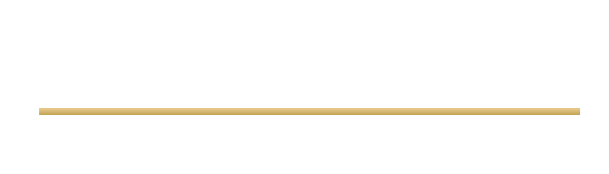 年度風雲車手